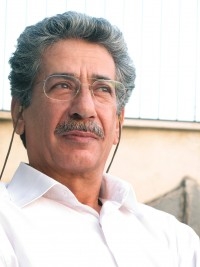 بهرام شاه‌محمدلو