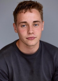 لی تایگر هالی