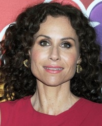 مینی درایور