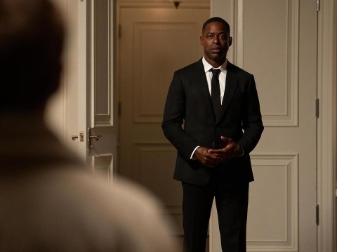 گربه وحشی پایین است