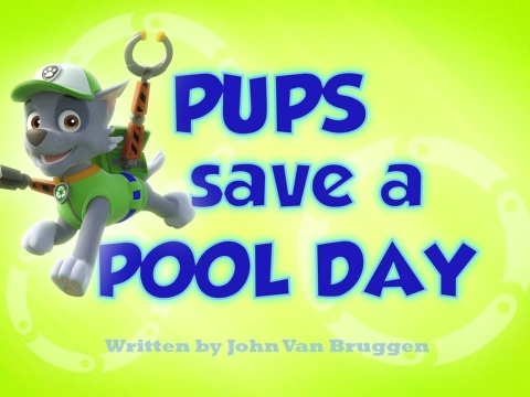 توله‌ها یک روز استخر را نجات می‌دهند