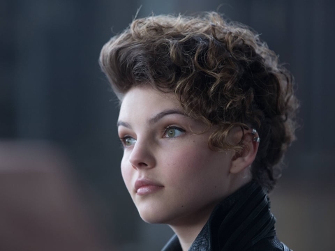 همه خانوادههای شاد شبیه هم هستند