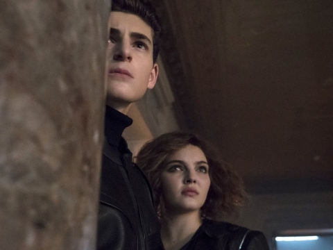 پنگوئن، قهرمان ما