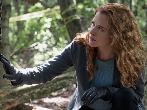 سم در یک درخت گلابی (۱)