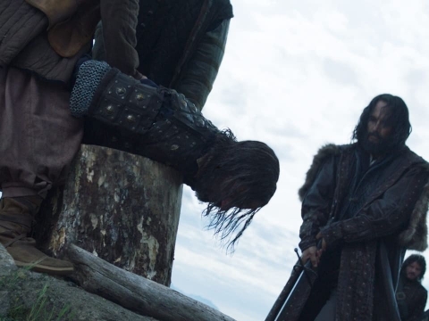 نهنگ‌ها در رود شنا نمی‌کنند