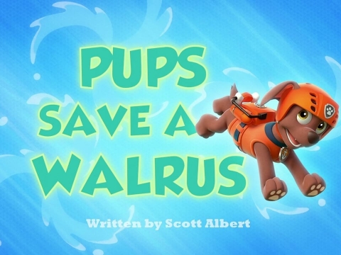 توله‌ها یک والروس رو نجات می‌دن.