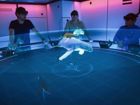 قلمرو نهنگهای گوژپشت