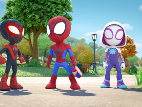 نوک زدن کبوترهای شوخ