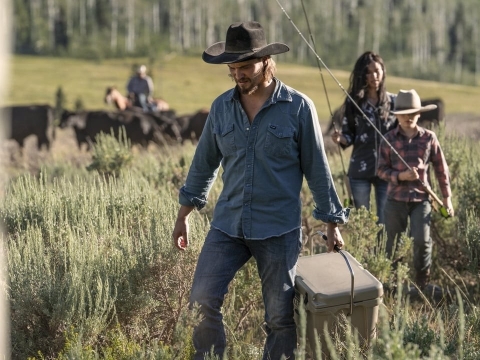 بازگشت به کالیفرنیا