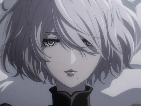 من در تیم نیستم