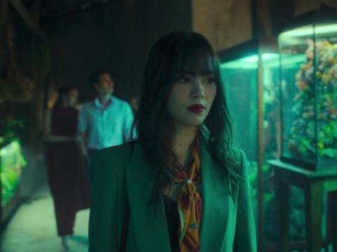 همه گل‌های باغ