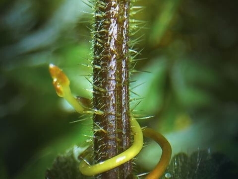 جهان های فصلی