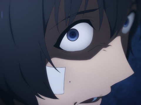 به آن عادت کردهام