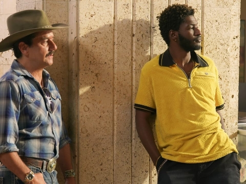 هکتارهای جنگی