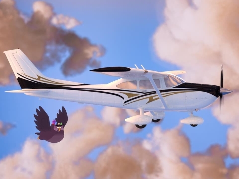 هواپیماها چگونه پرواز میکنند؟