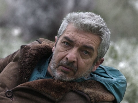 آبگوجهی سرد
