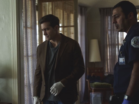 پایه ها بارگذاری شده است