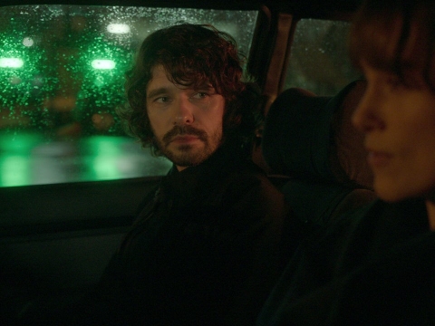 یک کبوتر سیاه کوچک