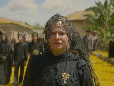 گلهای زیادی از آسمان افتادند