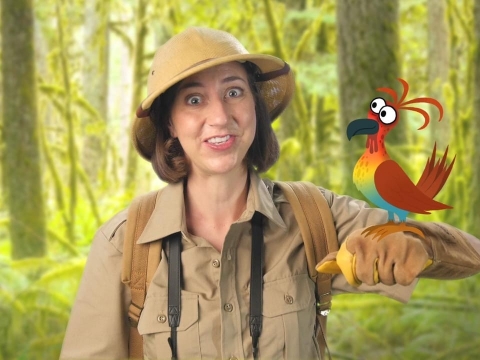 چند نوع حیوان وجود دارد؟