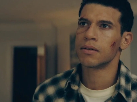 آفرینش هزار درخت