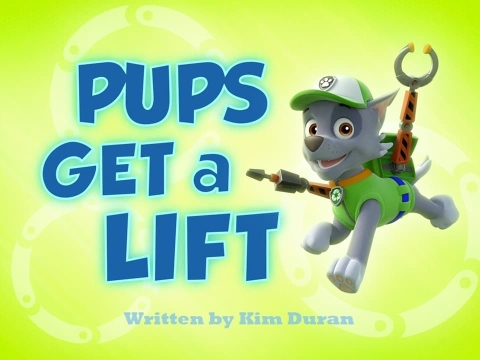 توله‌ها سوار آسانسور می‌شوند.