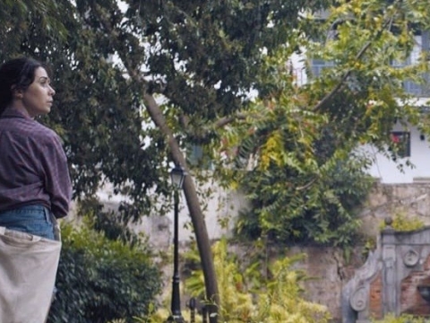 هانچ فو للاب سیث