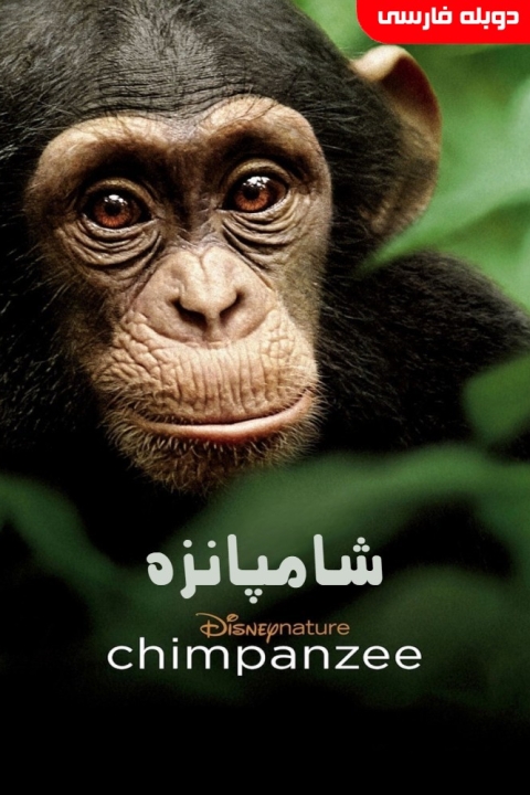 فیلم شامپانزه