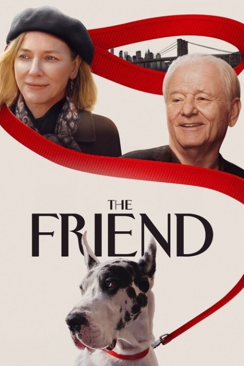 فیلم دوست