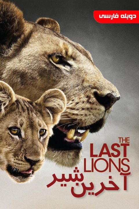 فیلم آخرین شیر