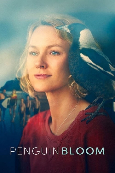 فیلم شکوفایی پنگوئن