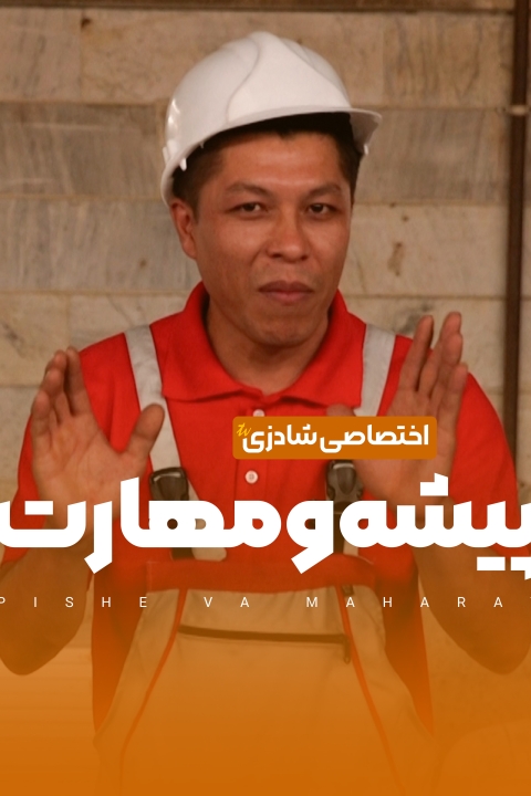 سریال پیشه و مهارت