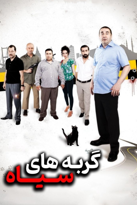 فیلم گربه های سیاه