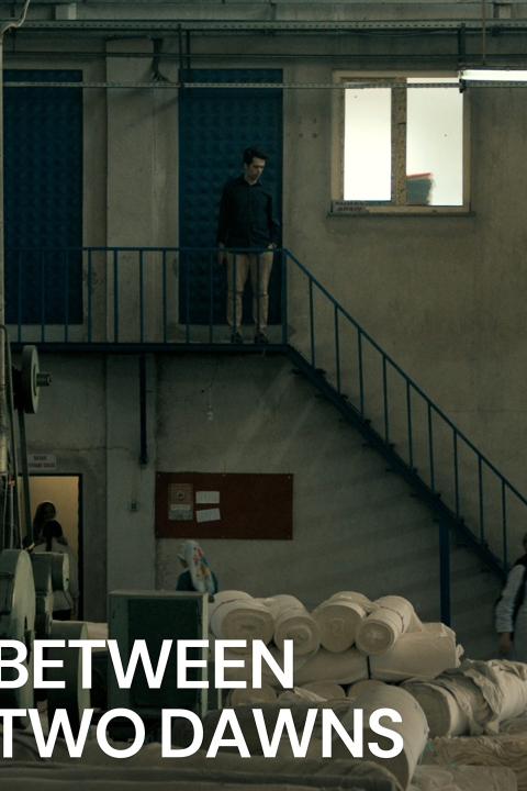 فیلم بین دو سپیده‌دم