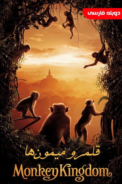 فیلم قلمرو میمون‌ها