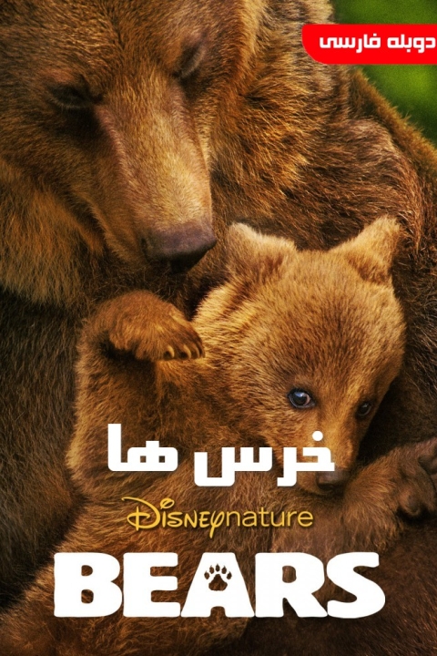 فیلم خرس ها