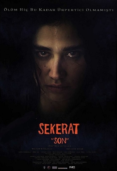 فیلم آخرین نقاشی